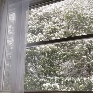 Meet your Posher, Sooyoen